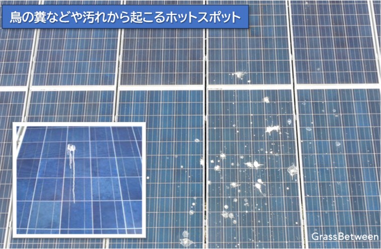 太陽光パネルの鳥の糞などが付着した汚れの画像